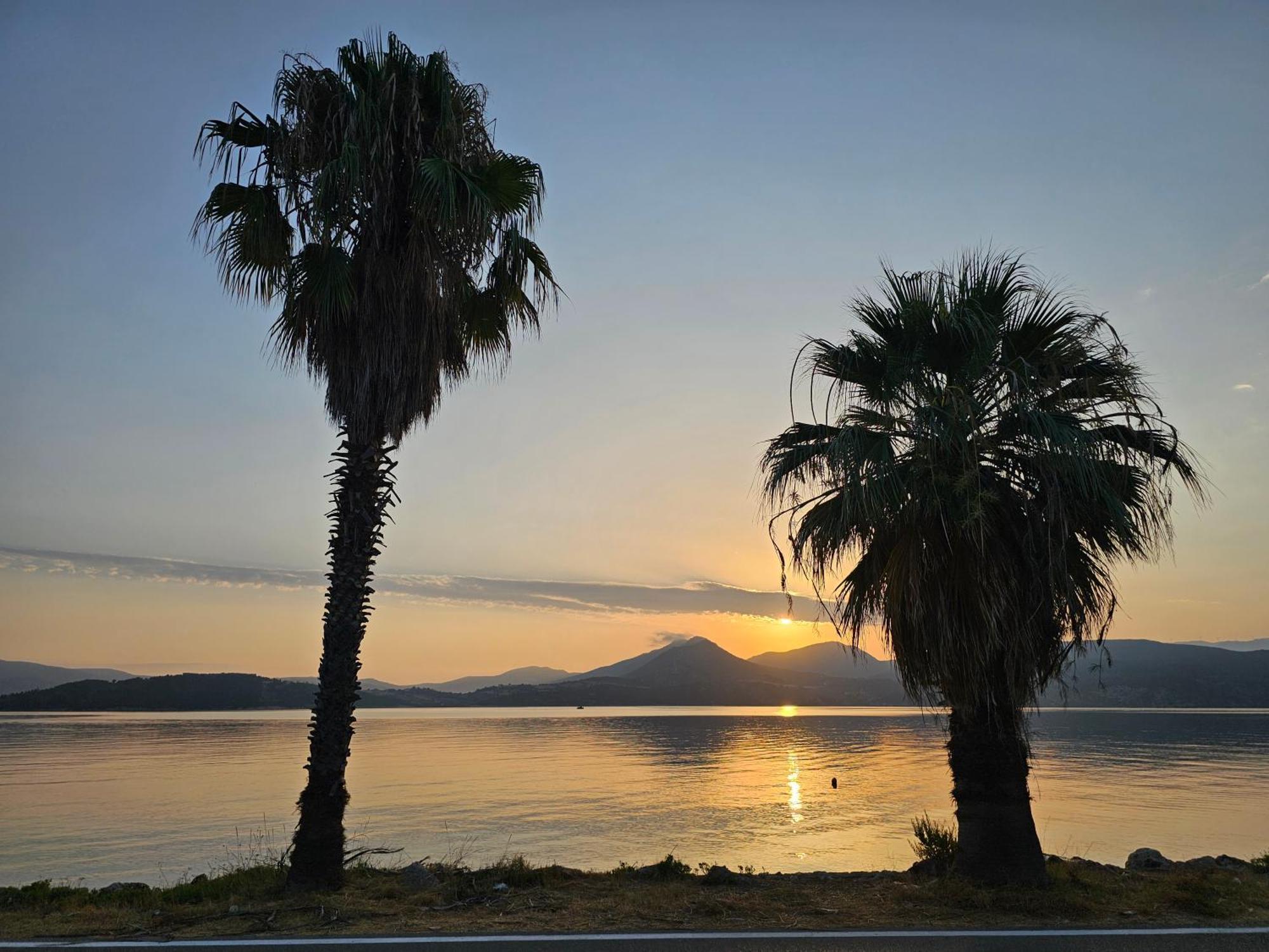 Dimitra's Paradise
