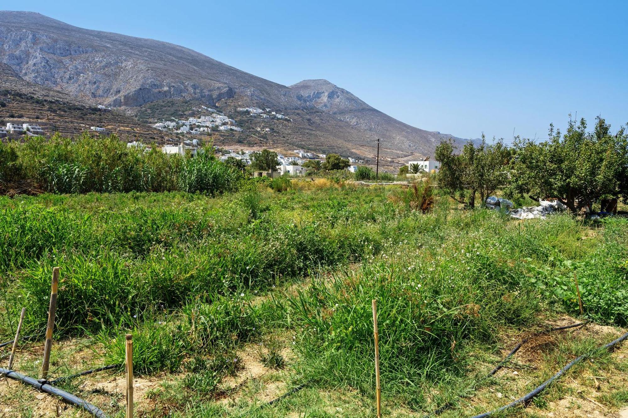 Livadi House Amorgos