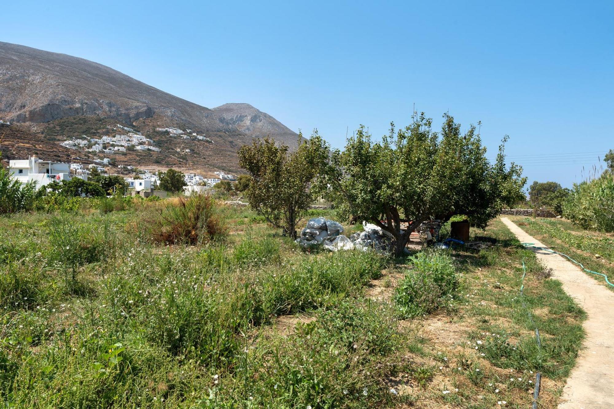 Livadi House Amorgos Holiday home Aegiali