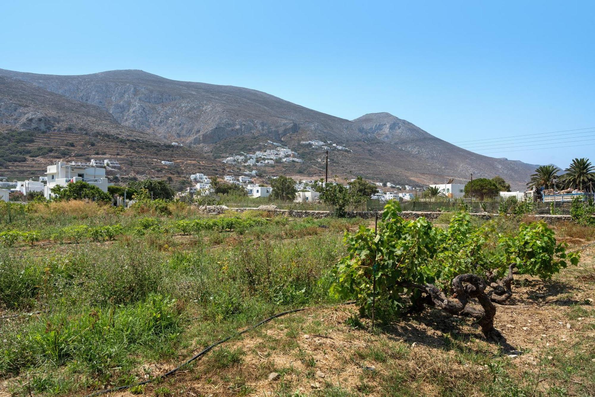 Holiday home Livadi House Amorgos Aegiali