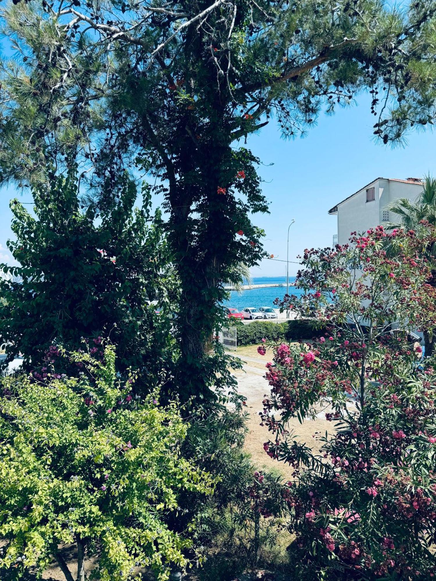 Garden * Limenas (Thasos)