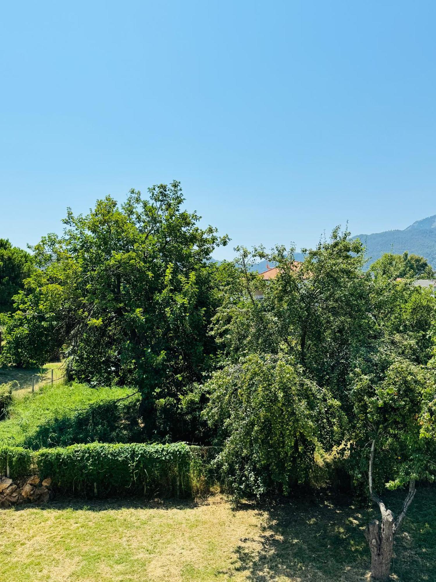 Holiday home Garden Limenas (Thasos)