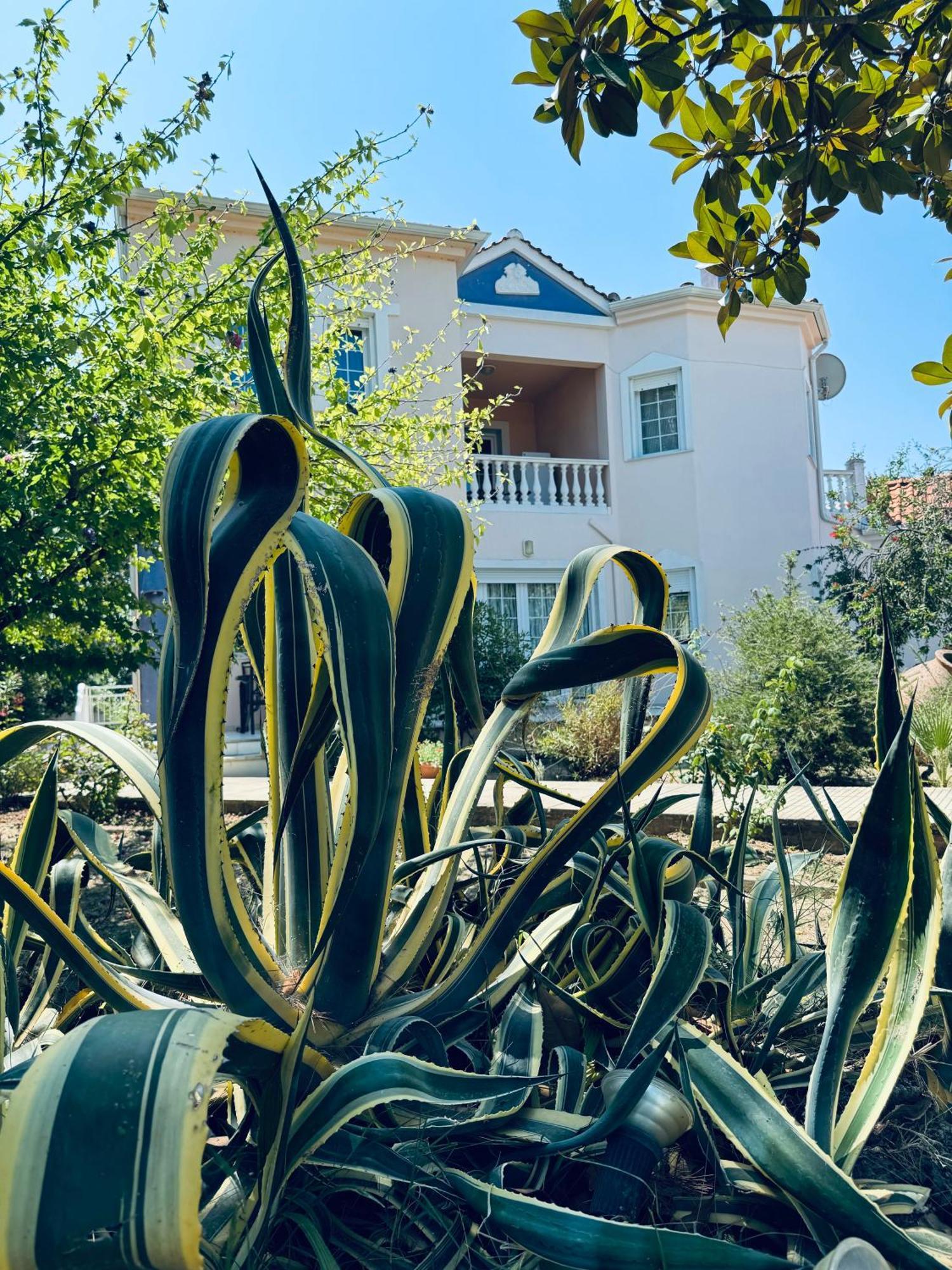 Holiday home Garden