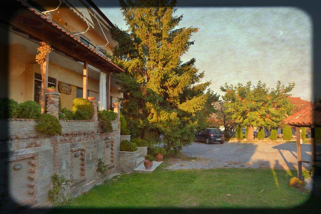 Liogerma *