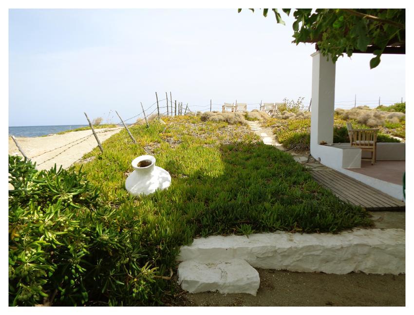 Skyros Apartment