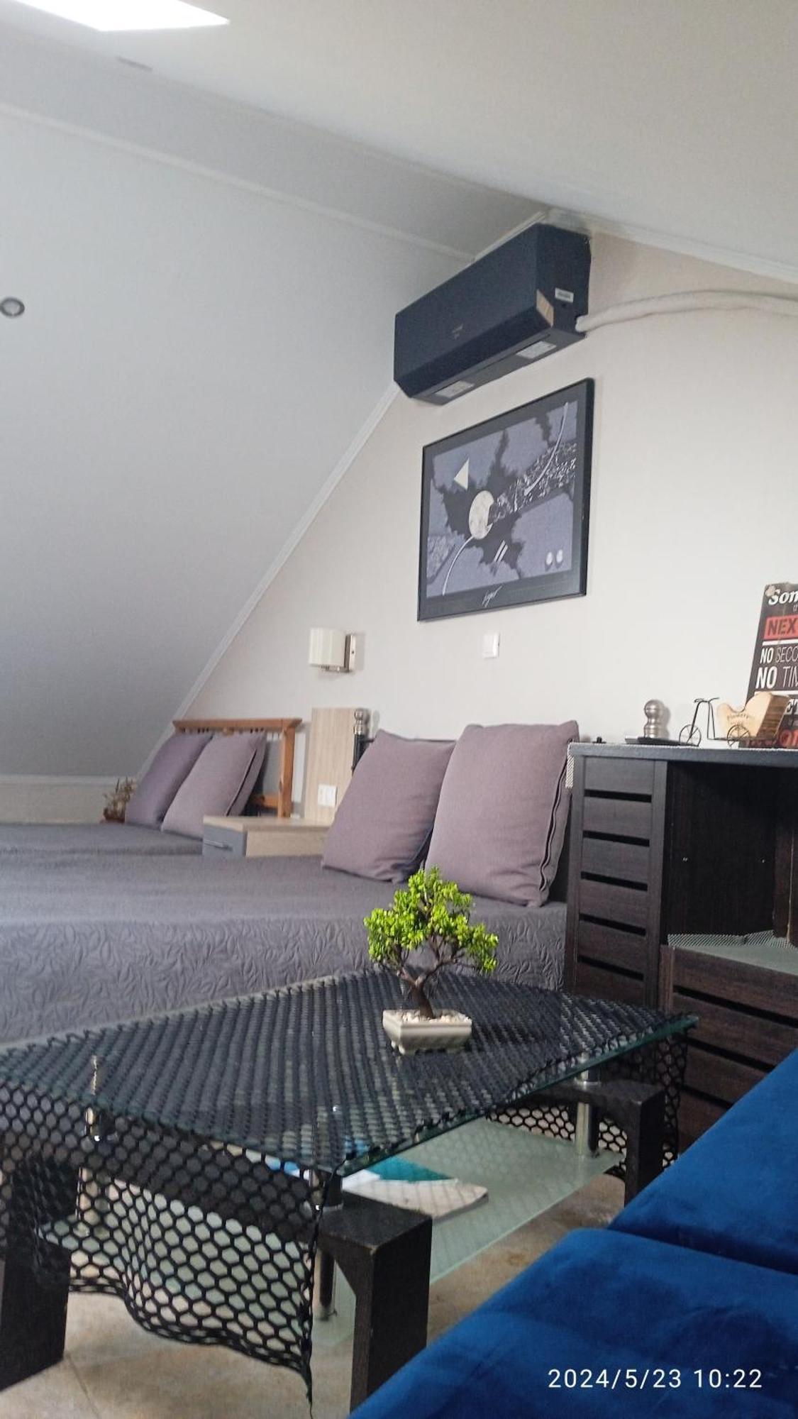 Roses Apartment *