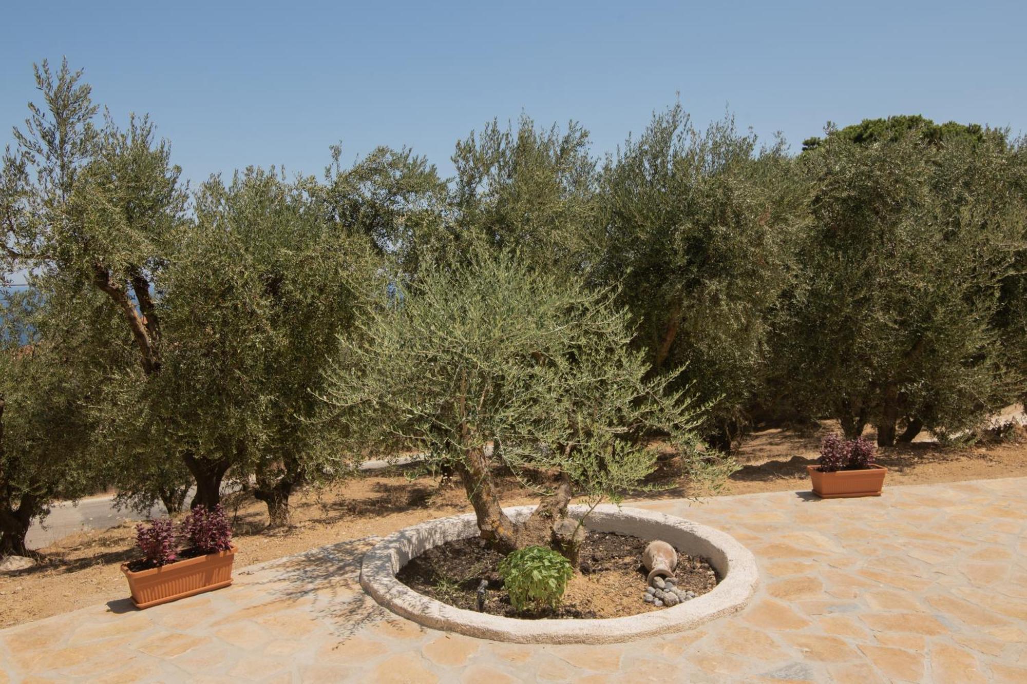 Cossoro Zakynthos Villa