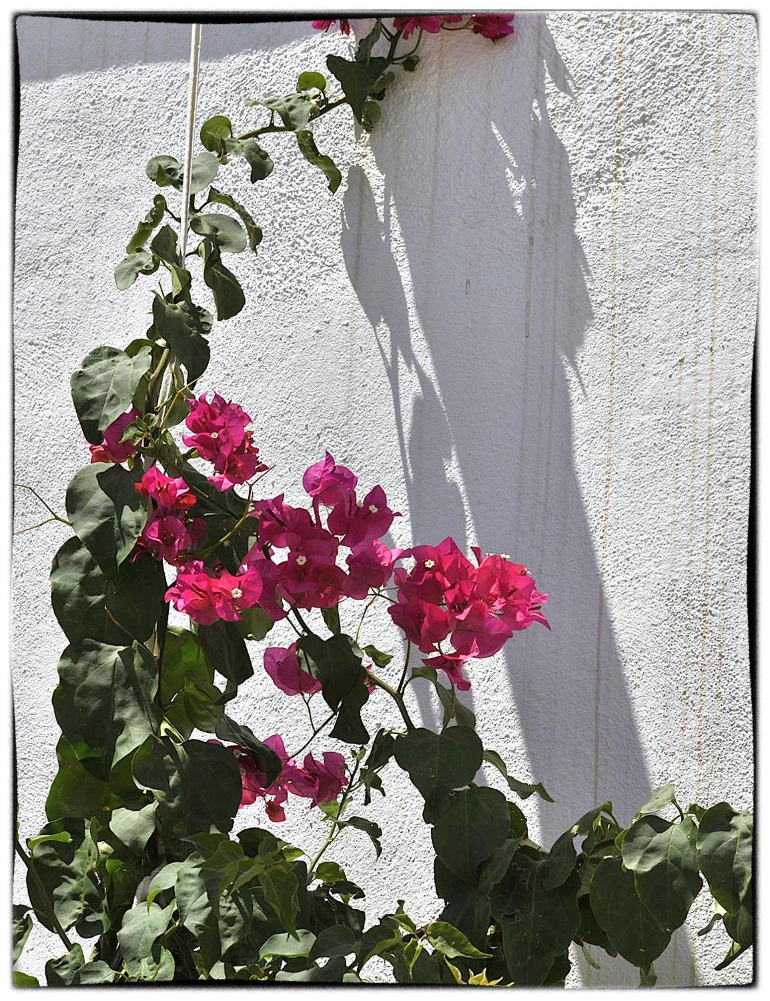 Apartment Theasis Sifnos Platis Gialos (Sifnos)
