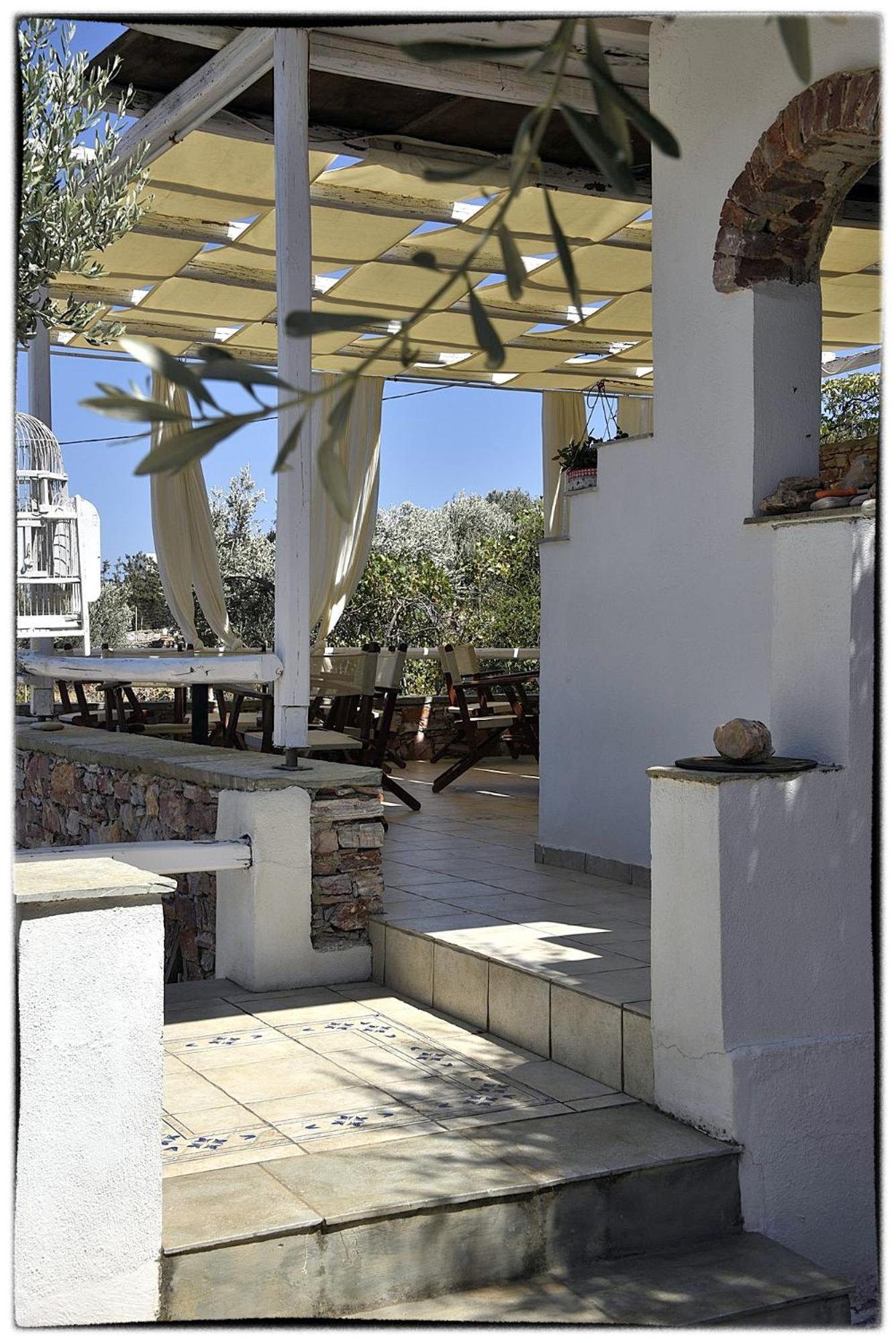 Theasis Sifnos