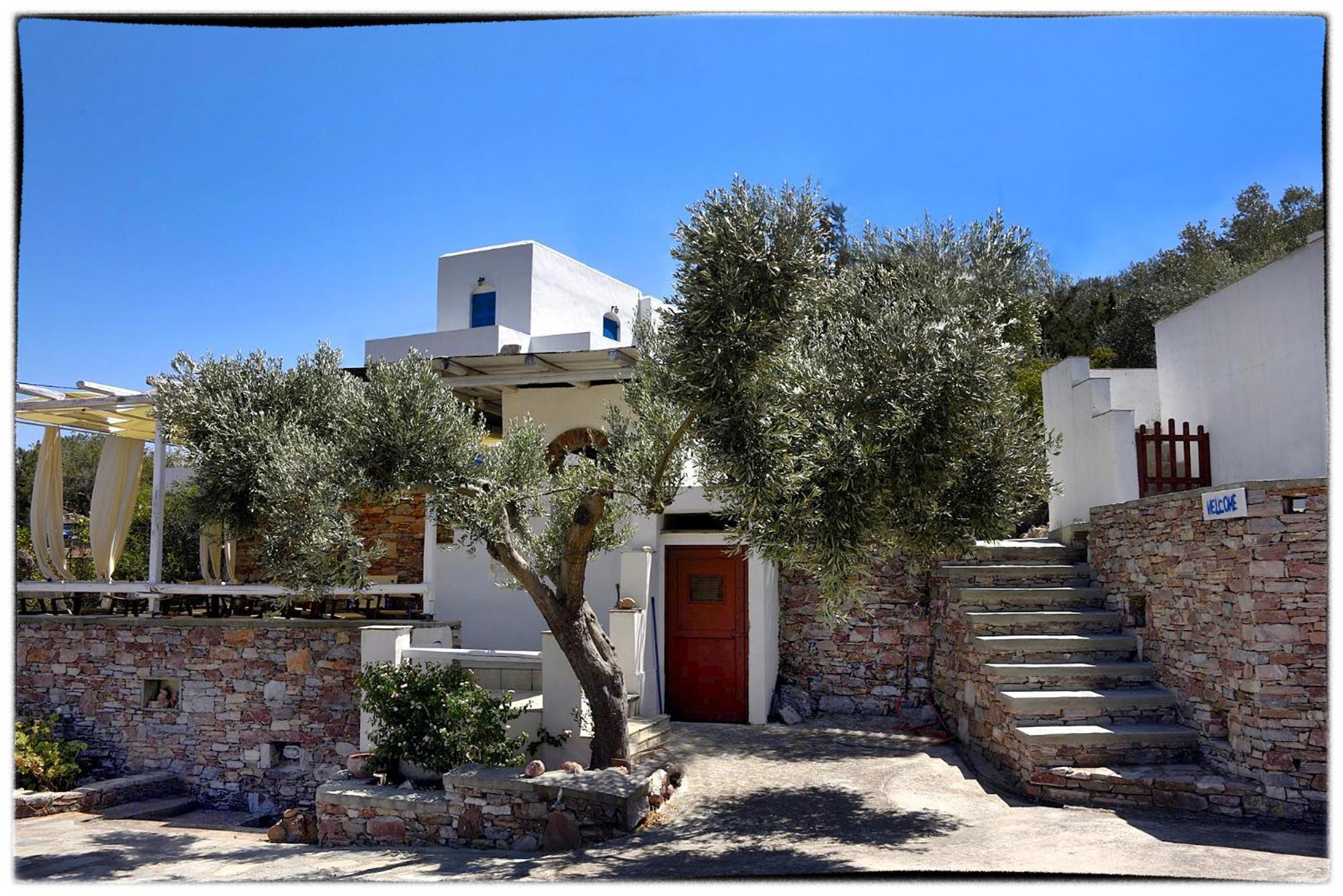 Theasis Sifnos