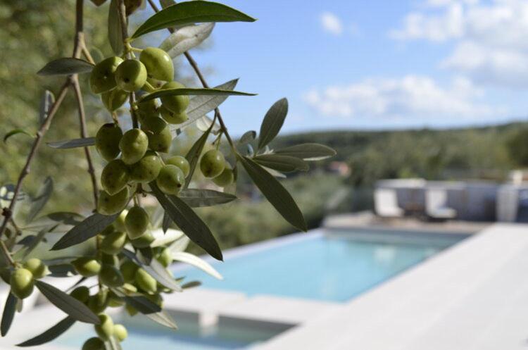 Apolafste Apartment Alykanas (Zakynthos)