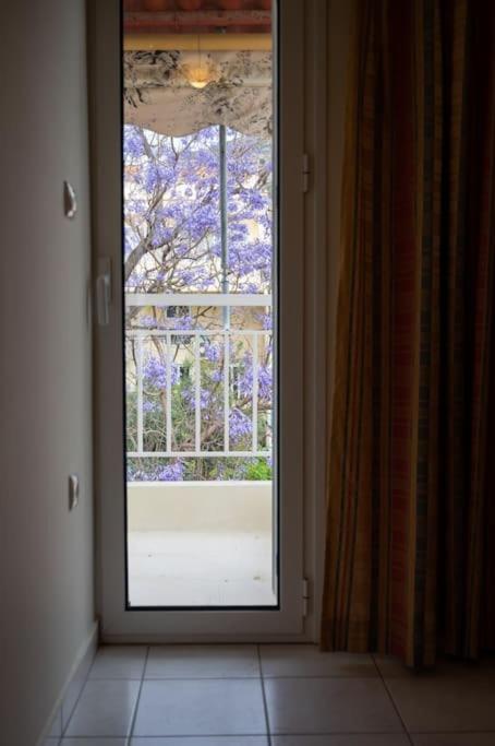 Apartment Olga's Sea View By Hsh *