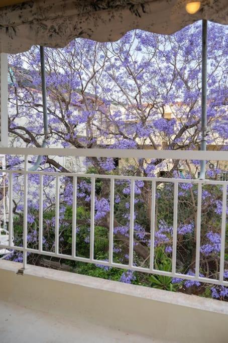 Apartment Olga's Sea View By Hsh Tolo