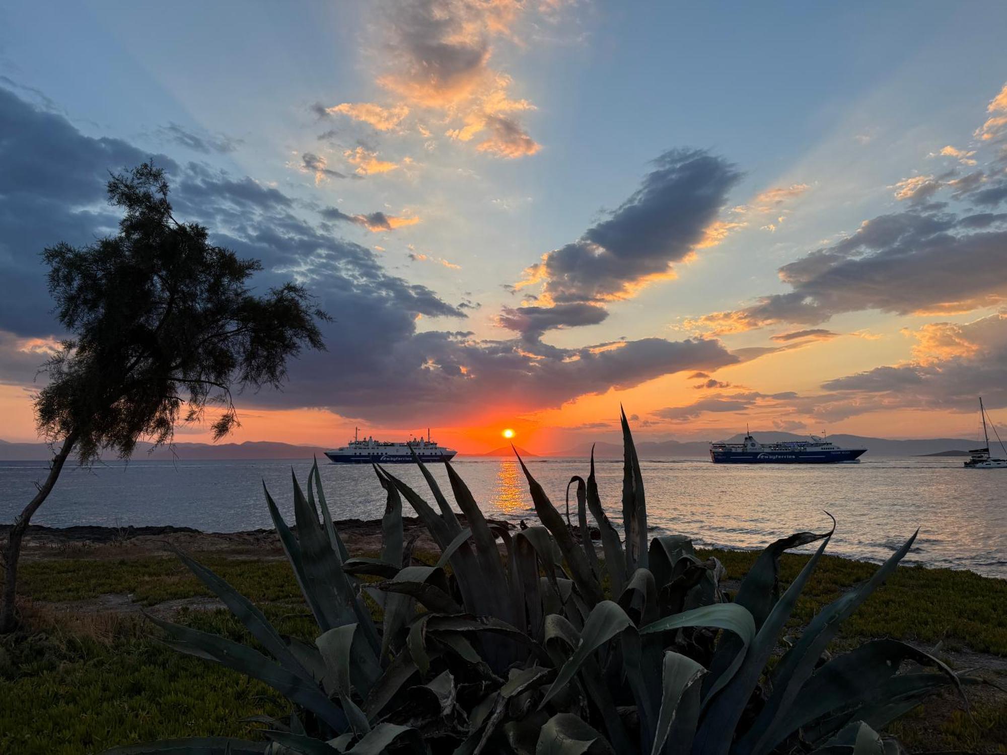Thea Aegina