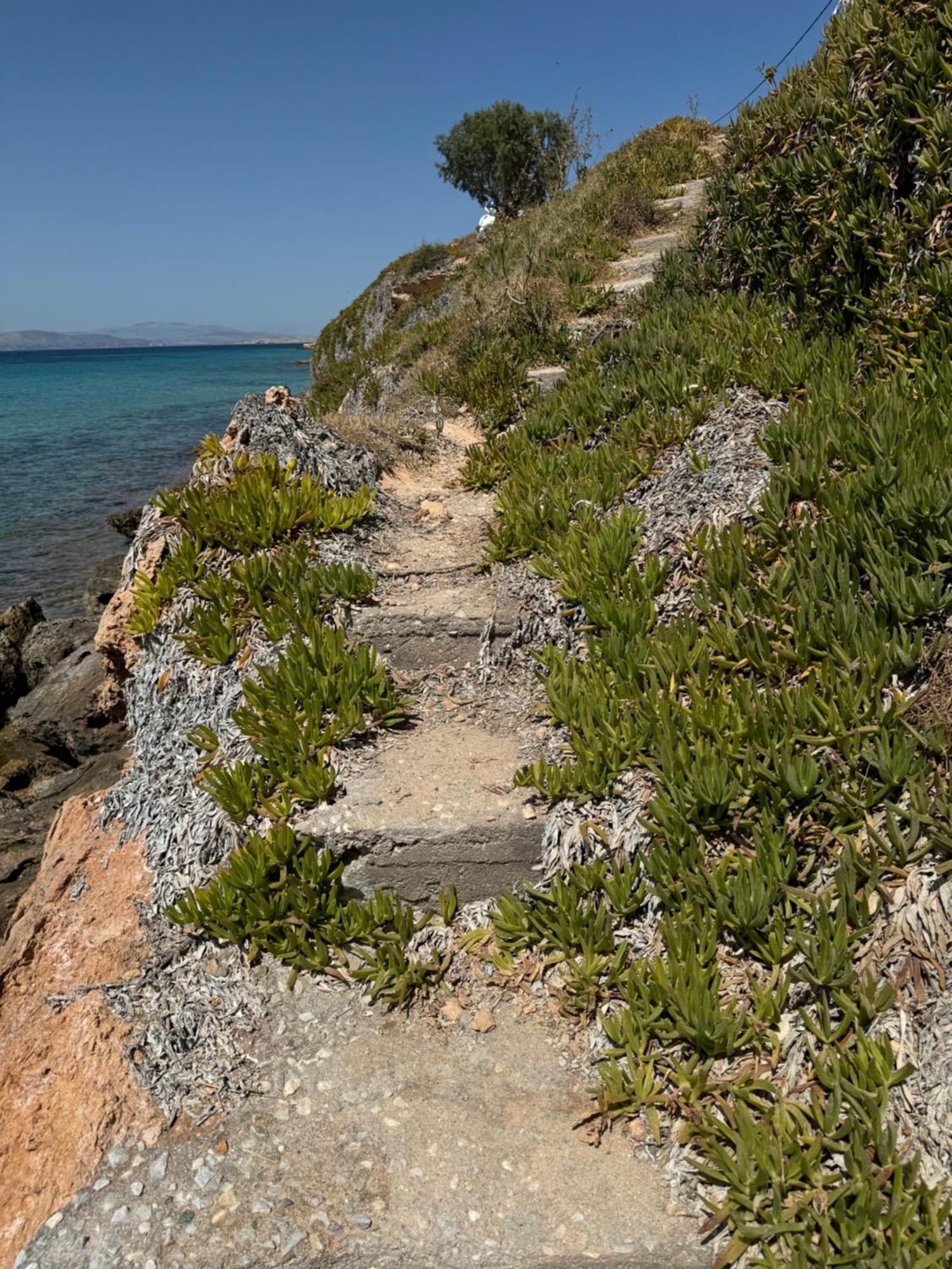 Thea * Aegina