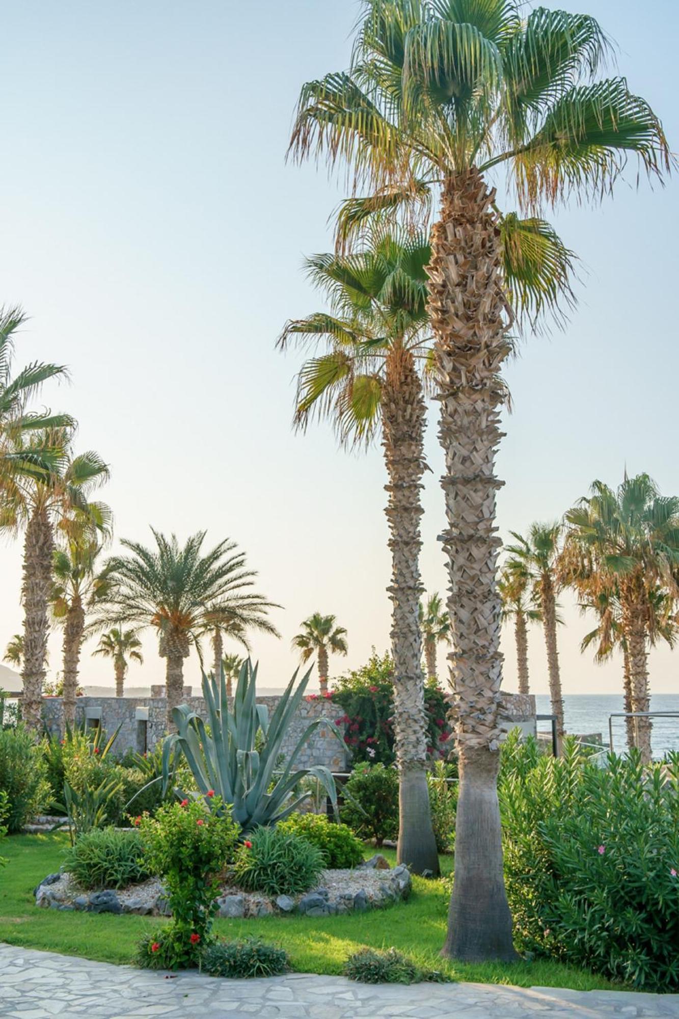 Ikaros Beach, Luxury & - Adults Only Hotel 5*