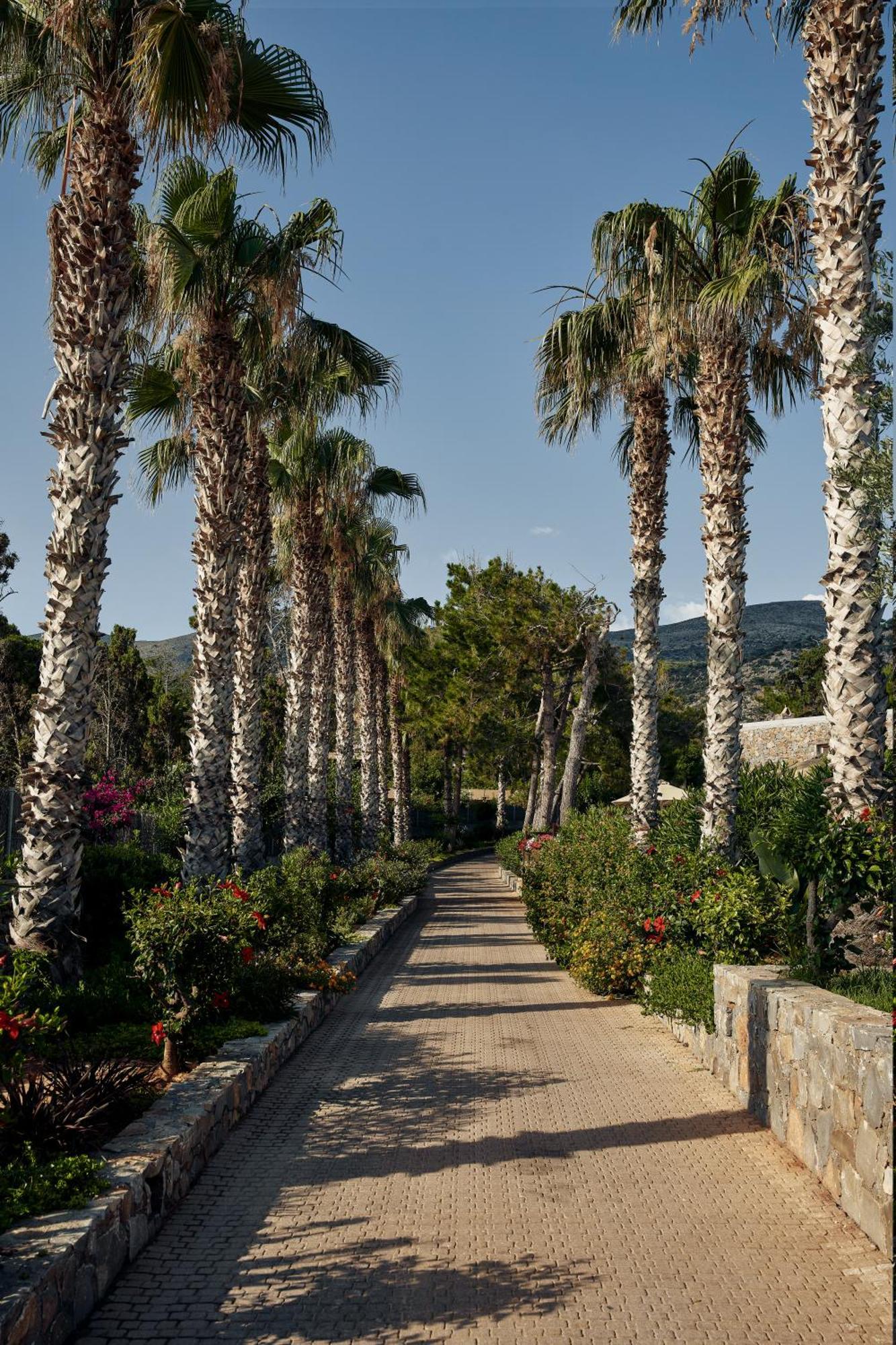 Ikaros Beach, Luxury & - Adults Only Hotel Malia (Crete)
