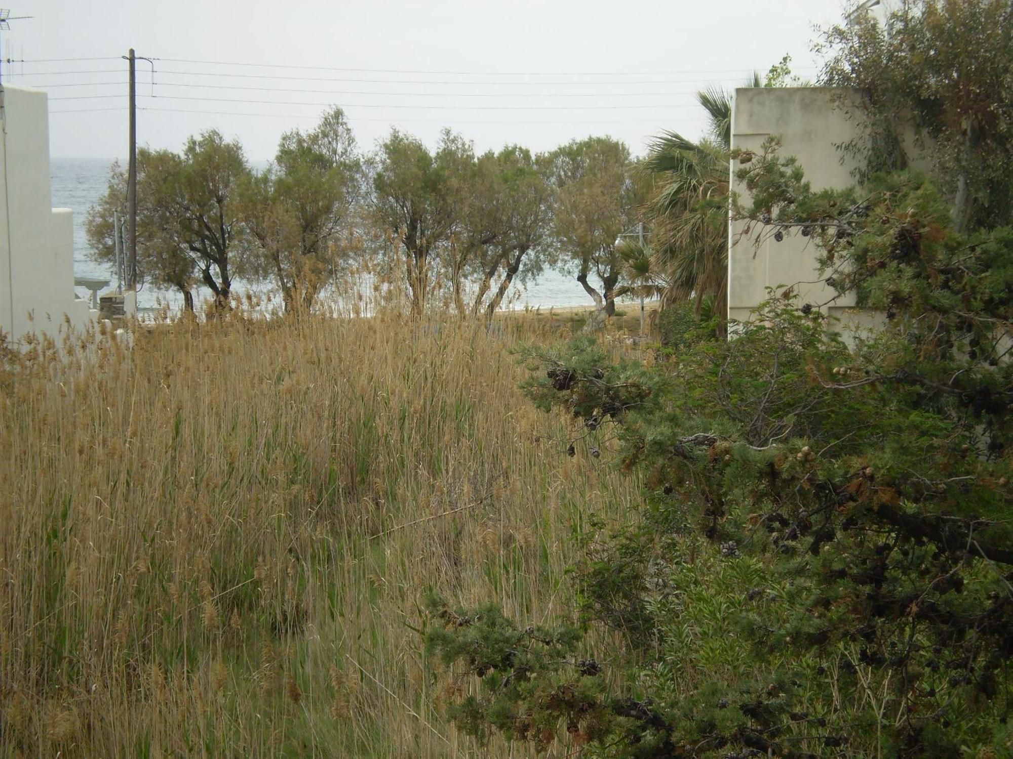 Studios Parian Blu Apartment Logaras