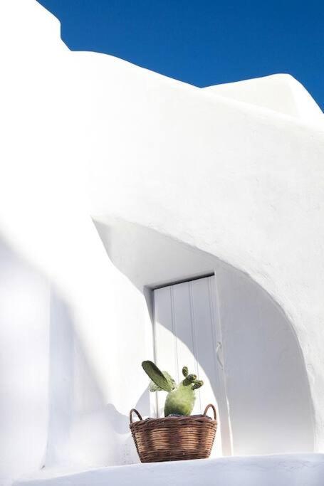 Villa White Cellar Cave By Cycladica *