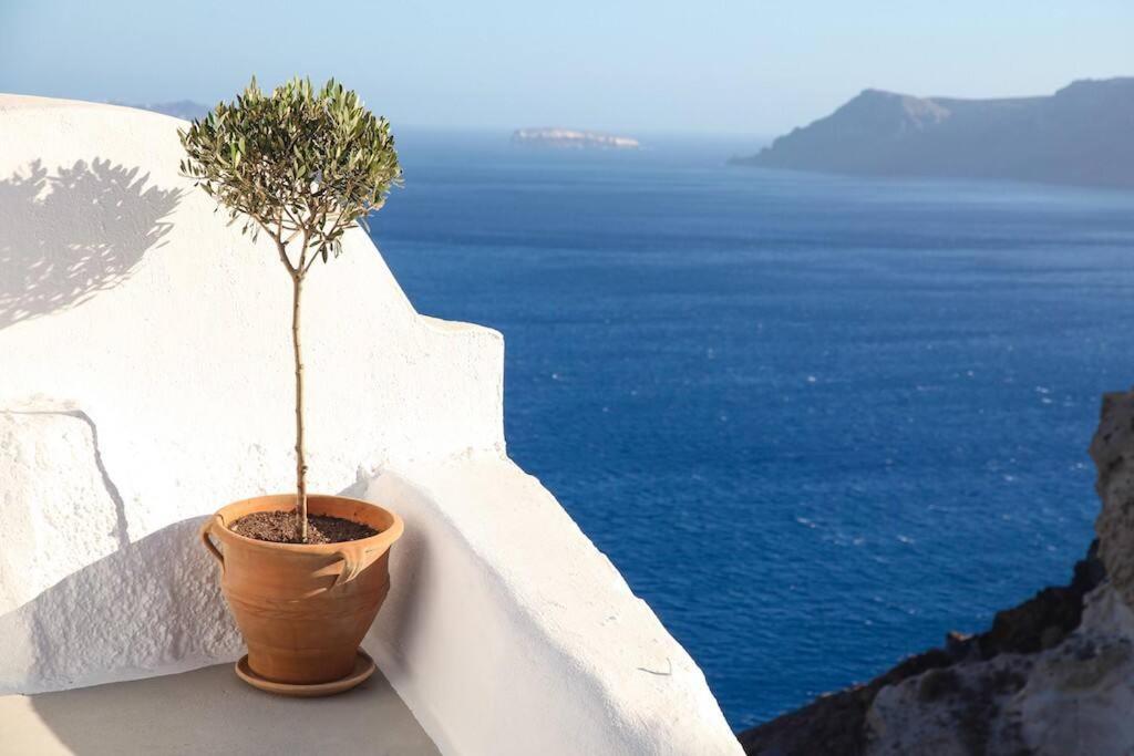 White Cellar Cave By Cycladica Oia (Santorini)