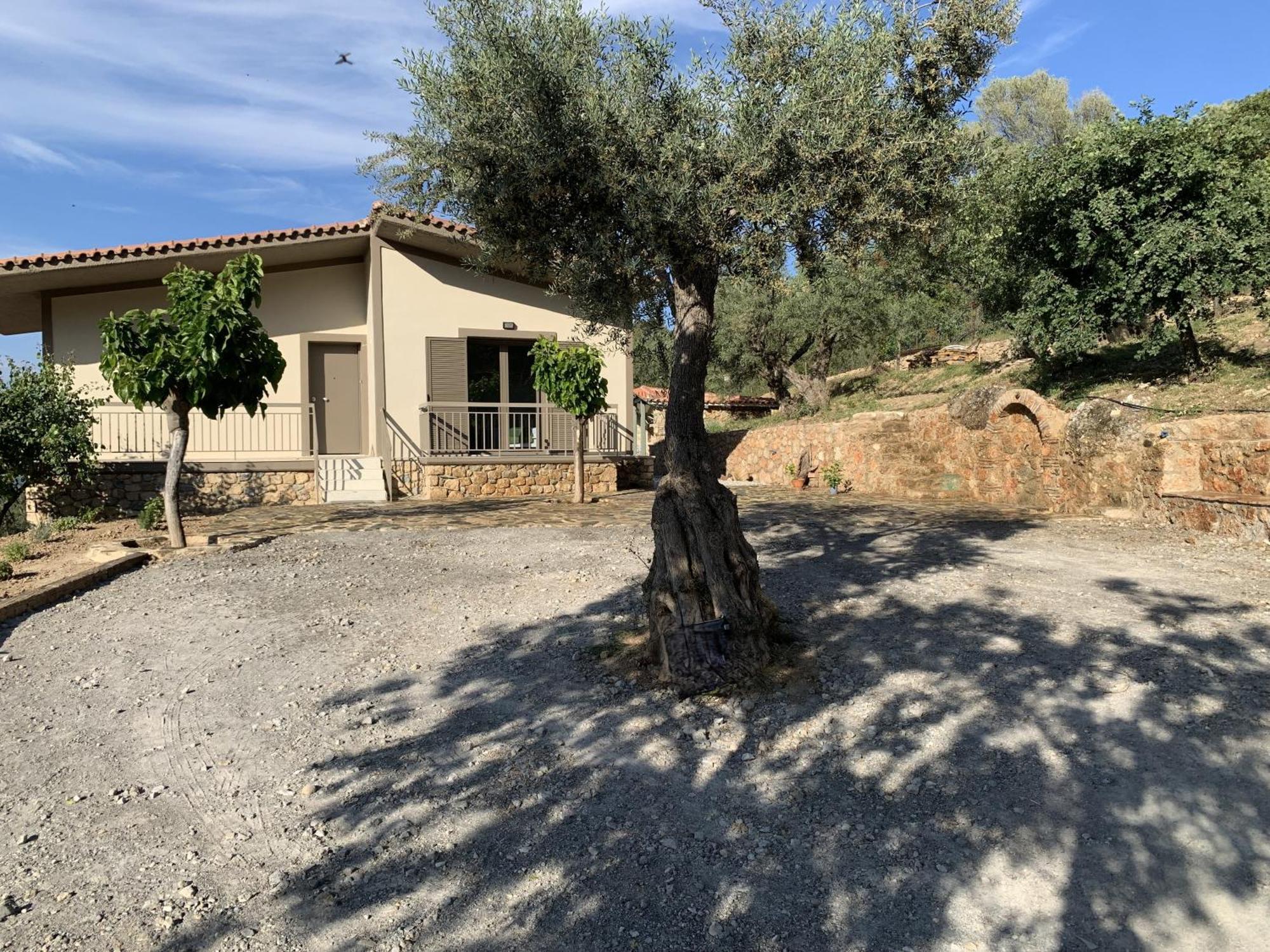 Olive Guest Farm Holiday home *