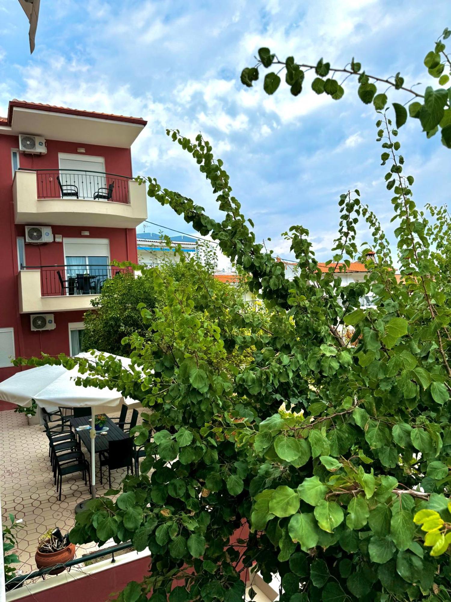 Apartment Sun Sight