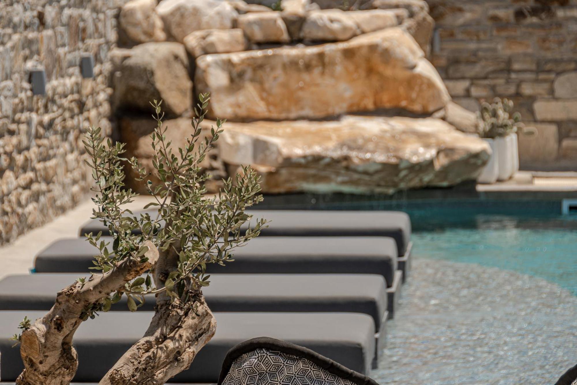Sea & Olives And Aparthotel