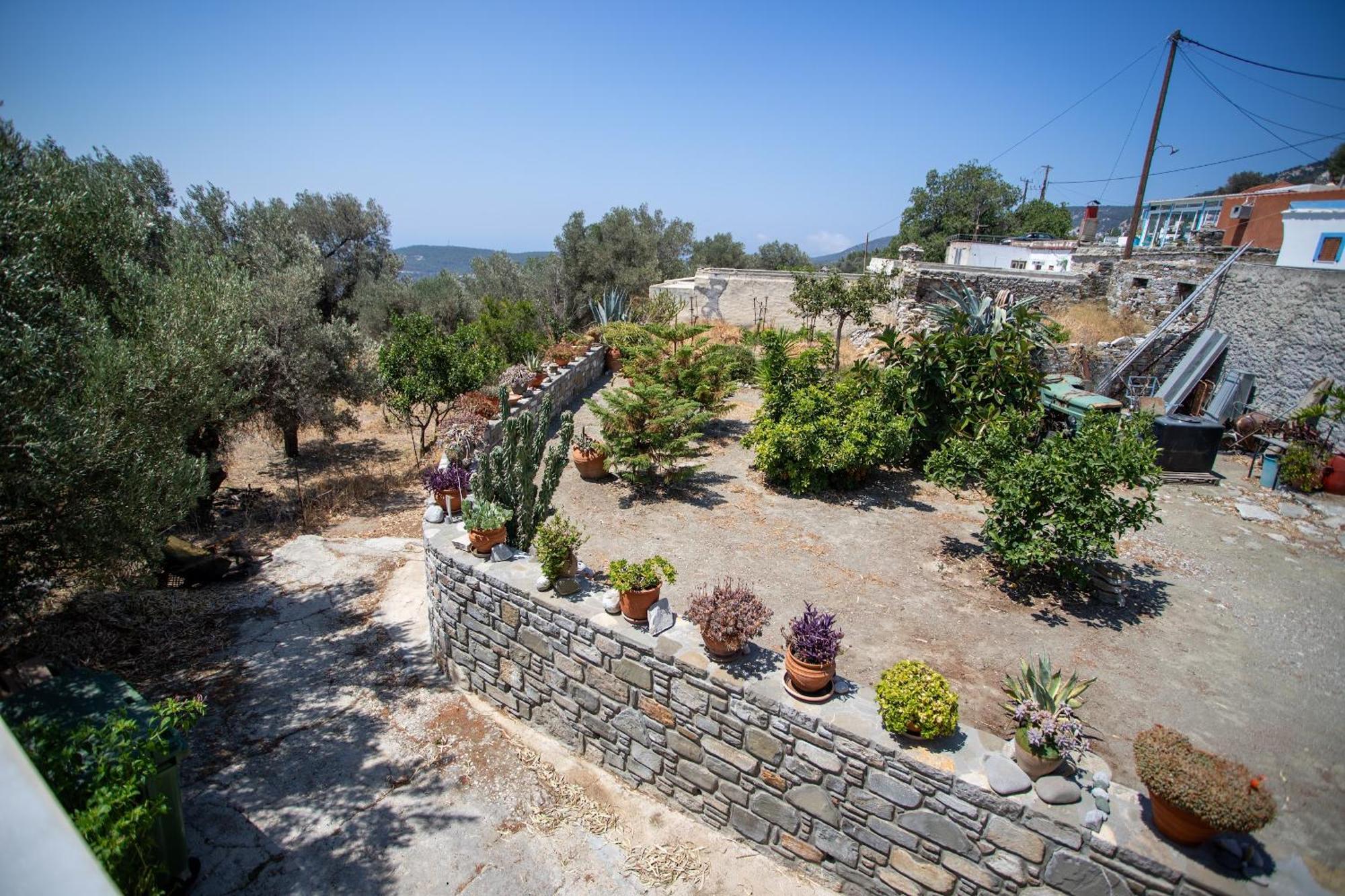 Inn Star Sianna Village To Let *