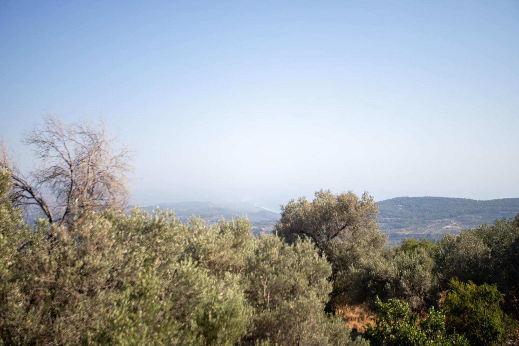 Inn Star Sianna Village To Let *