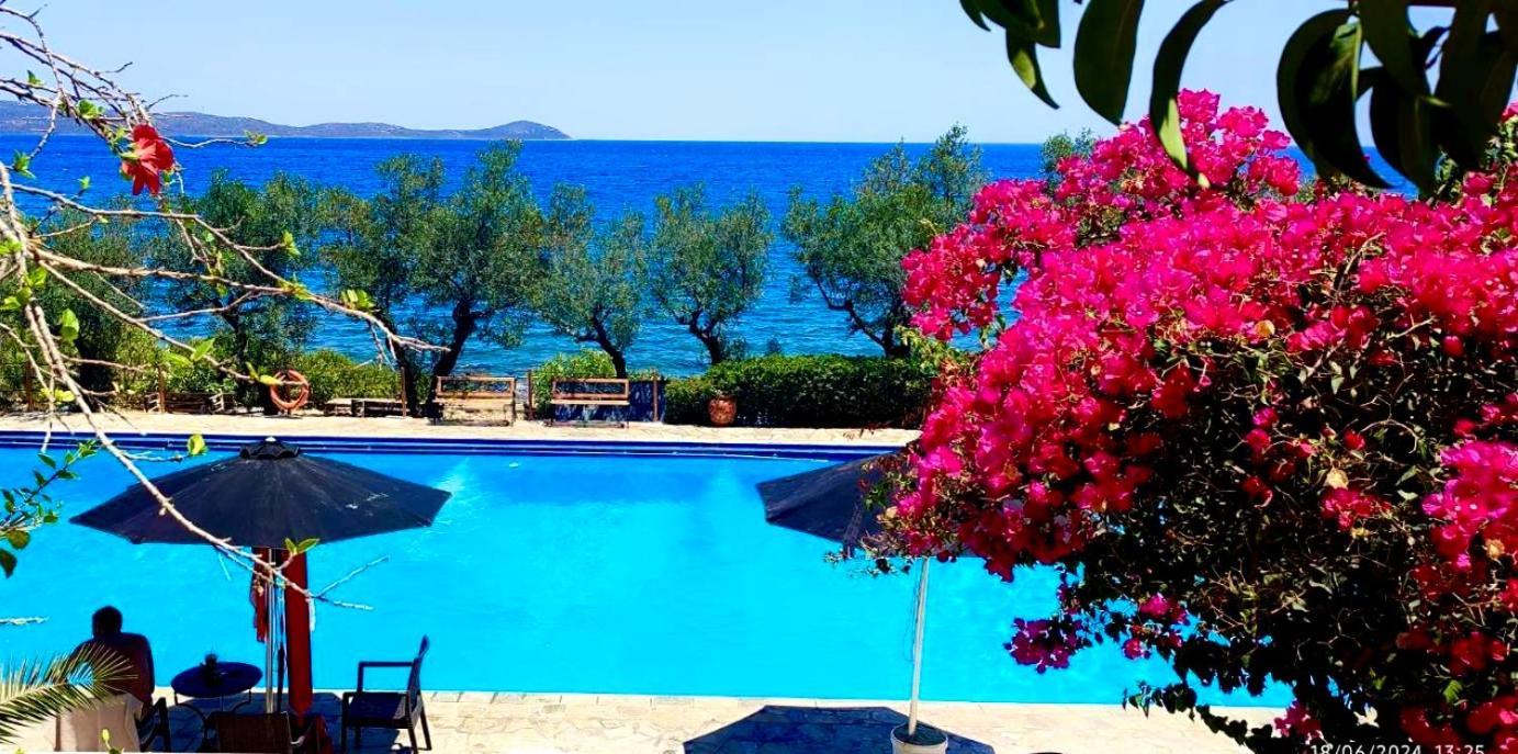 Apartment Douka Sea Front Residencies *