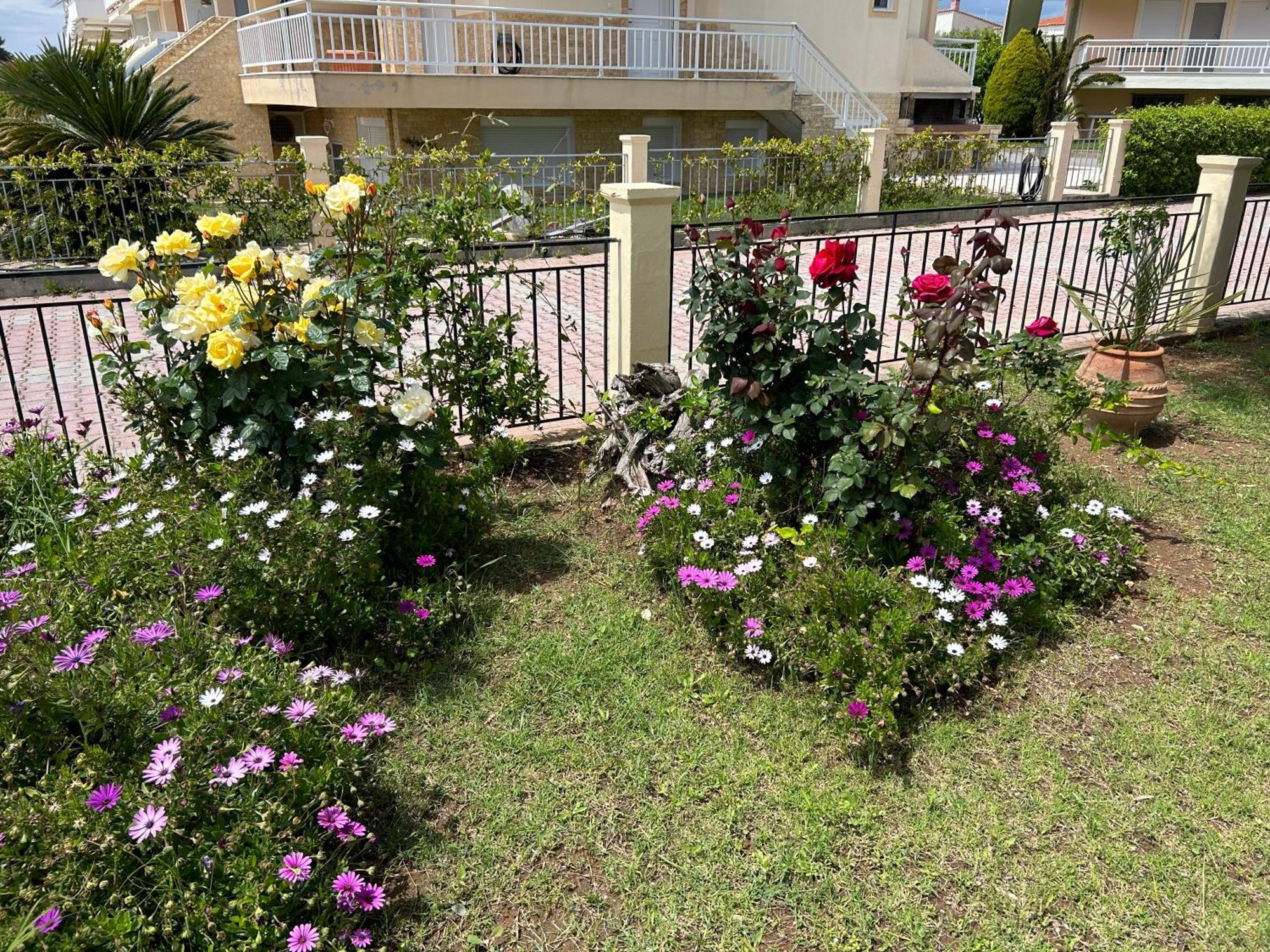 Holiday home Porto Maria Holiday *