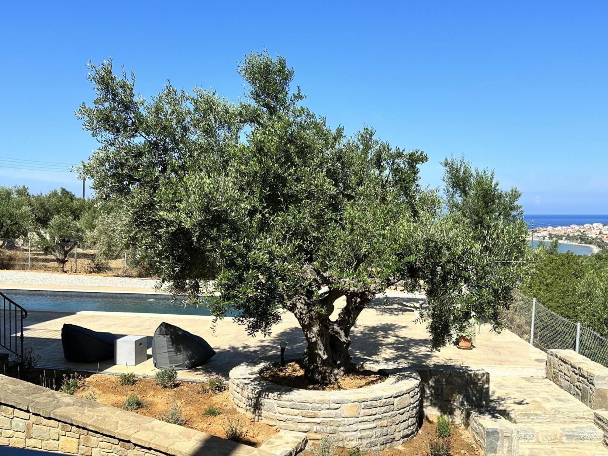 Modone In Peloponnese Villa