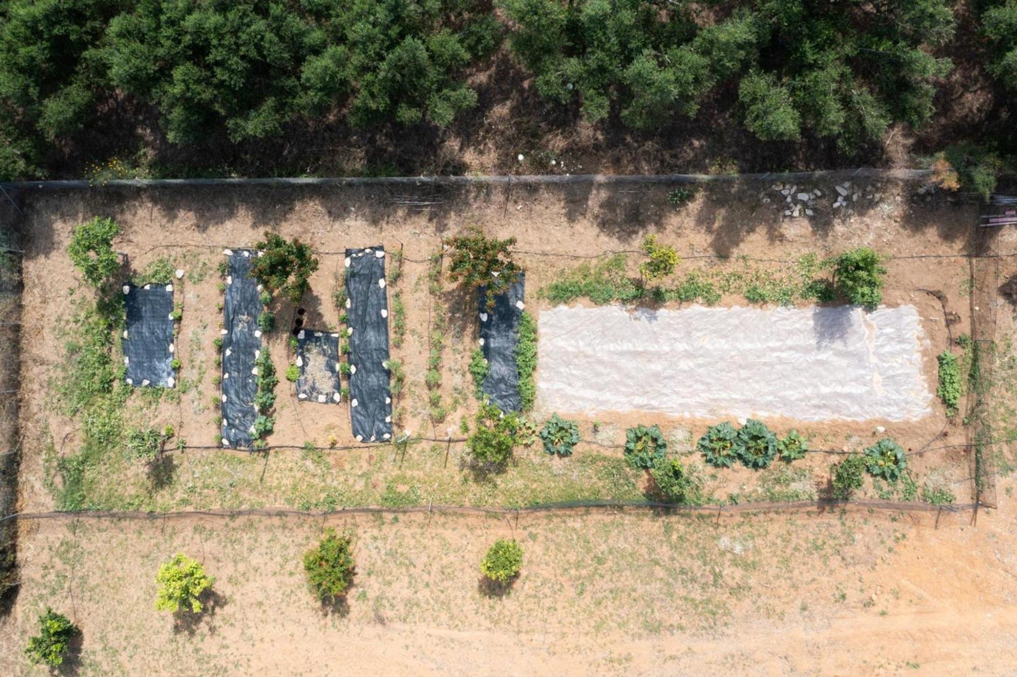 Villa Modone In Peloponnese