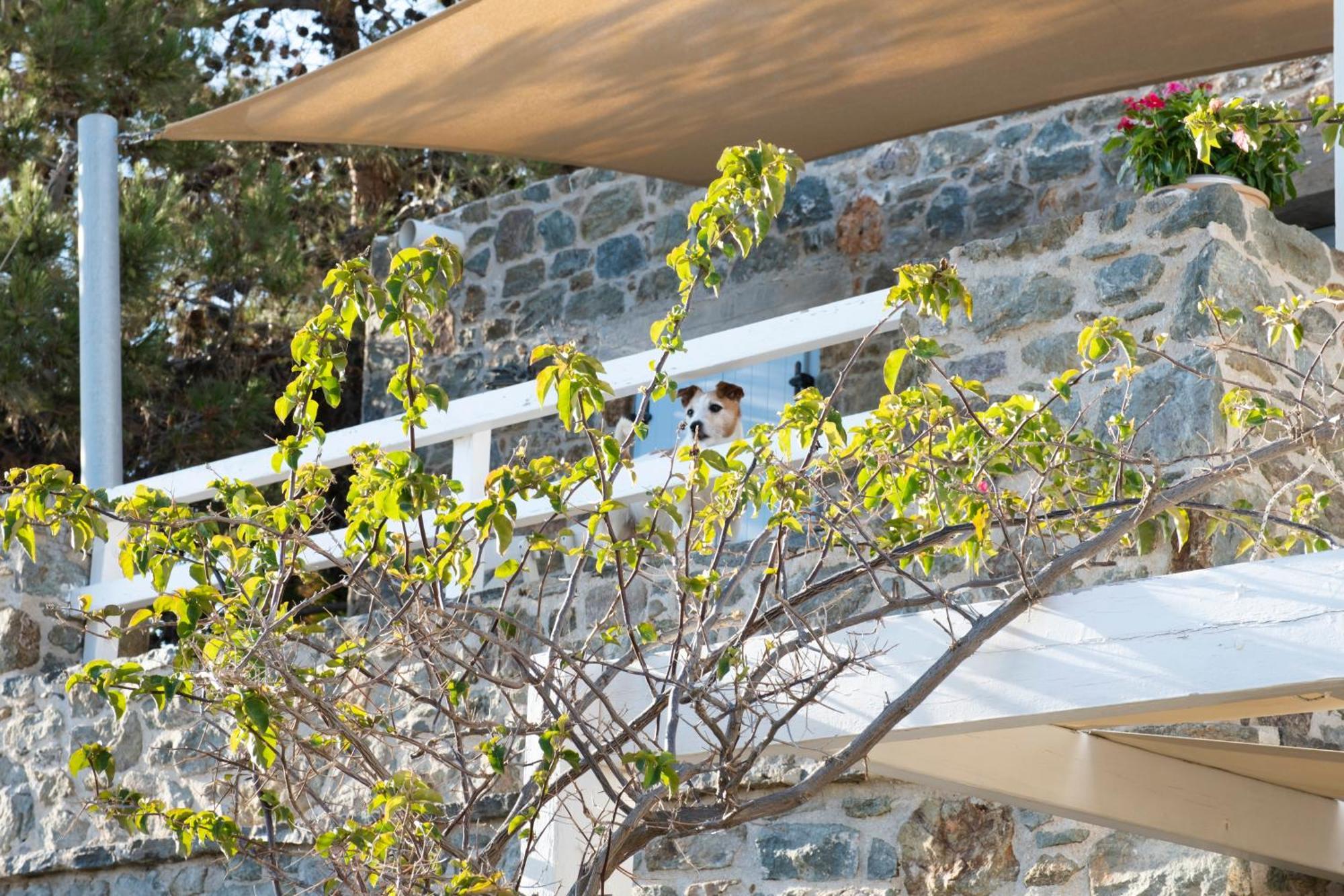 Aqua Blu Syros 2,4 Apartment *