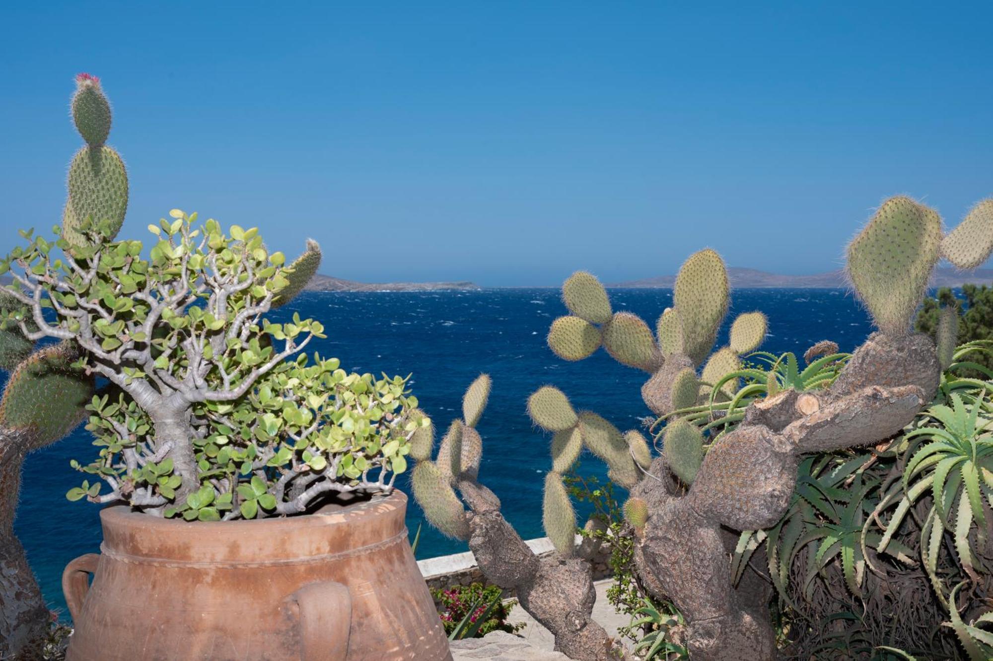 Alisahnea Mykonos *
