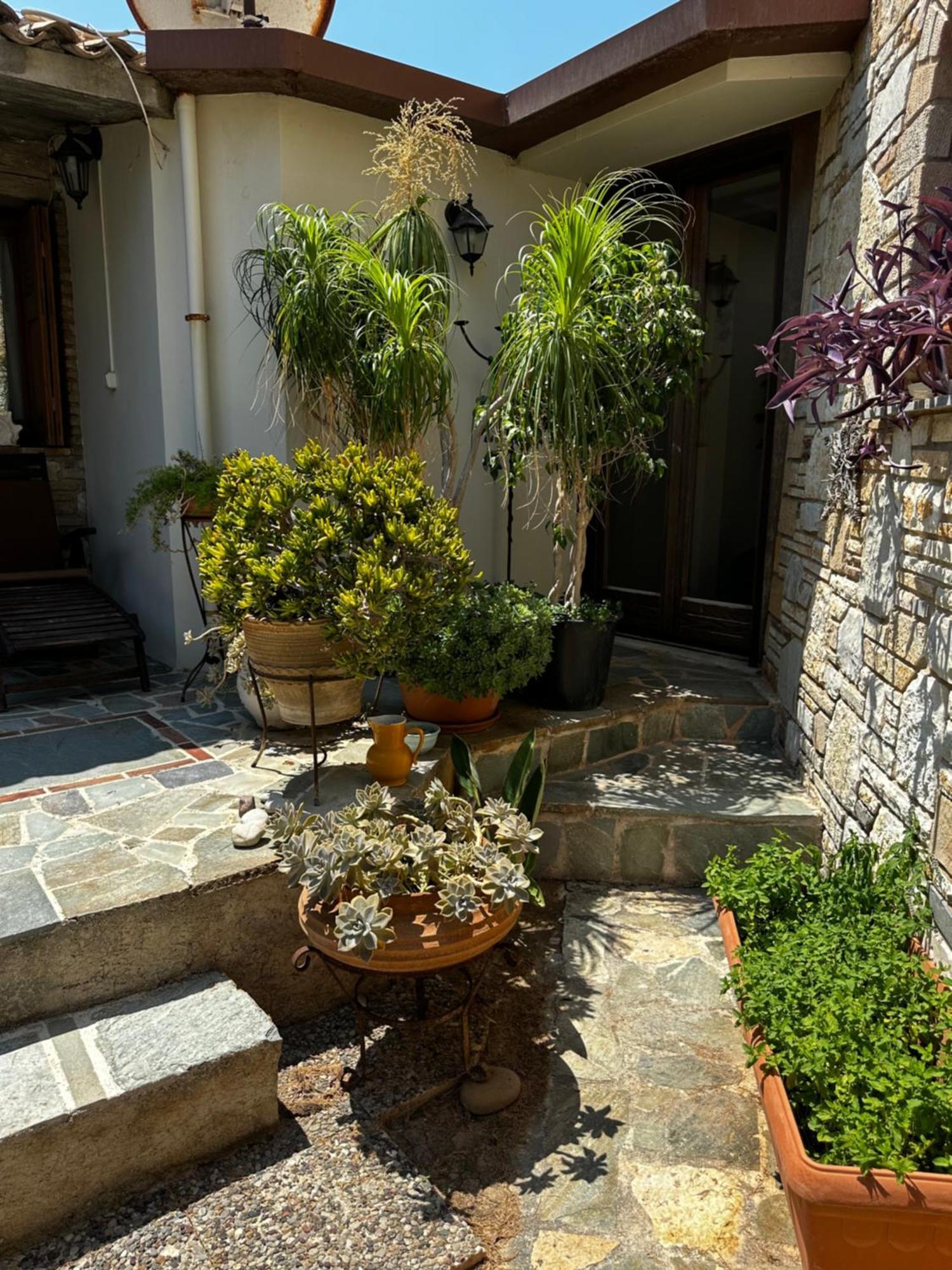 Apija Holiday home Xylokastro