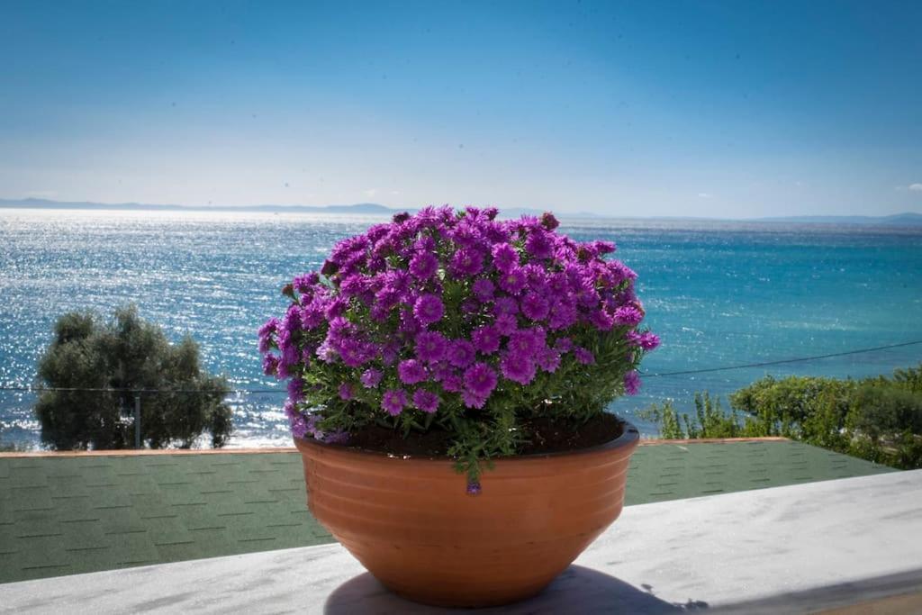 Thalassa Front - Infinite Sea View Holiday home Loutra Elevtheron