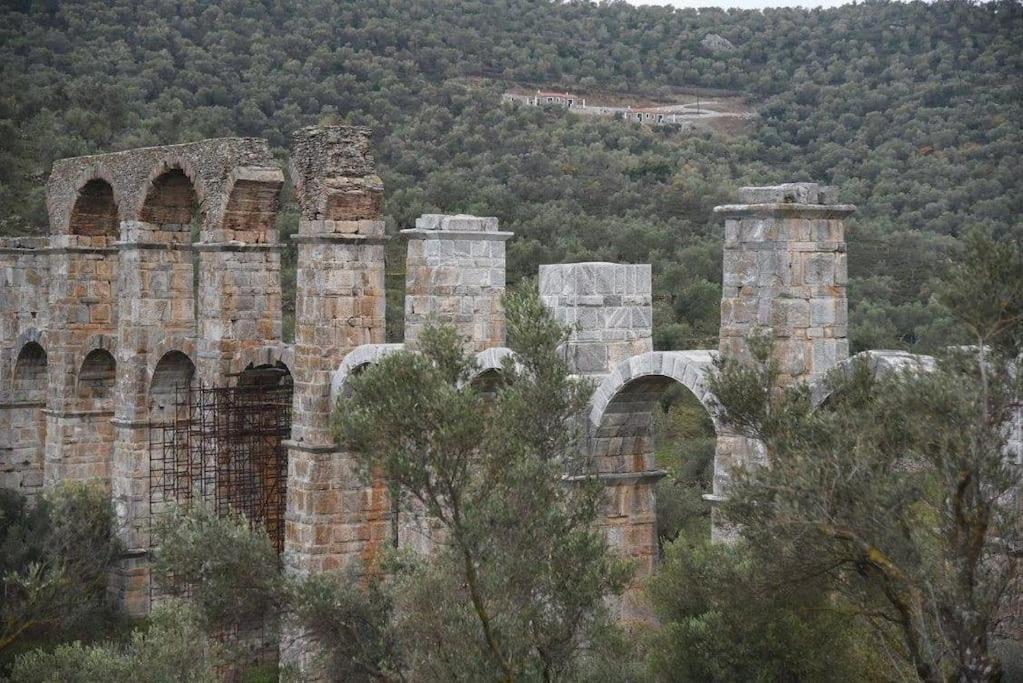 κamares * Mytilene