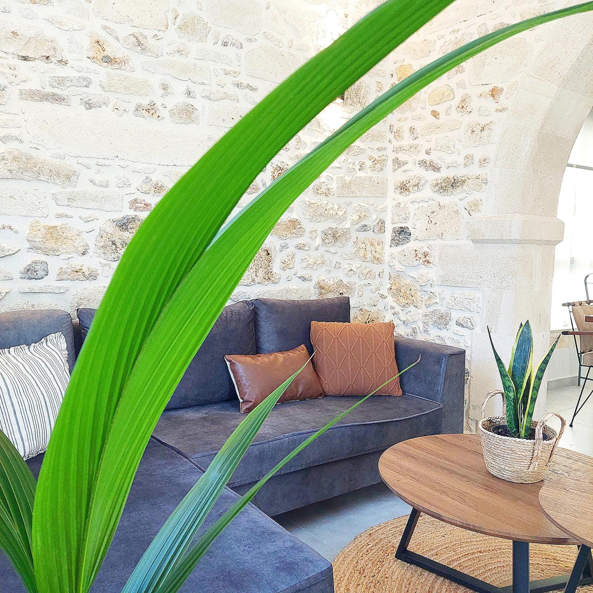Casa Di Robola * Prines (Rethymno)