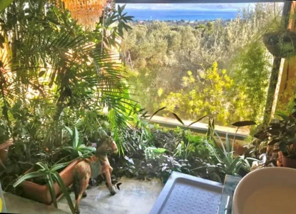 Villa Evia Private Pool Gem - Seabliss Tranquil Oasis Politika