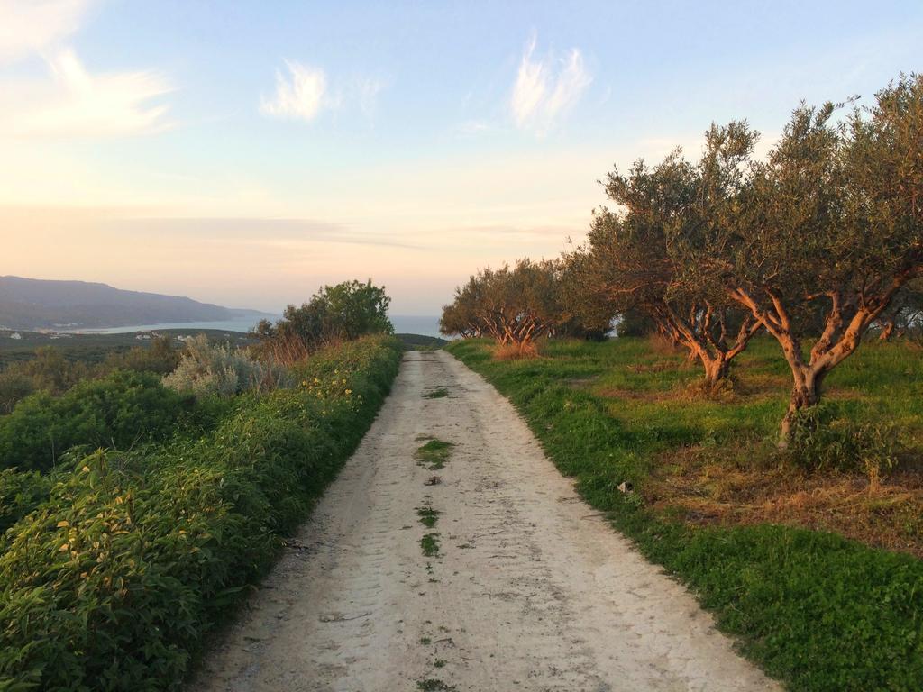 Crete Olive Mill Villa *