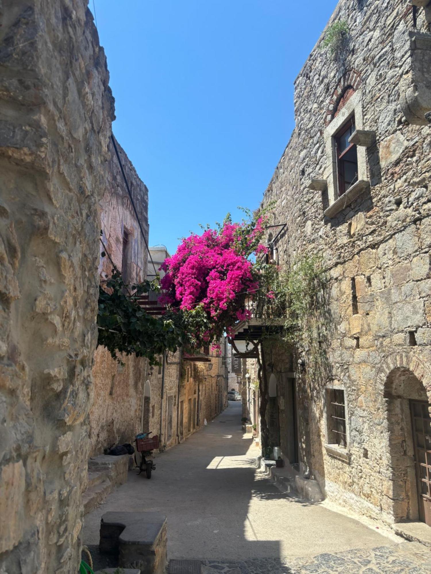 Apartment μεσαιωνικός οικισμός Mesta