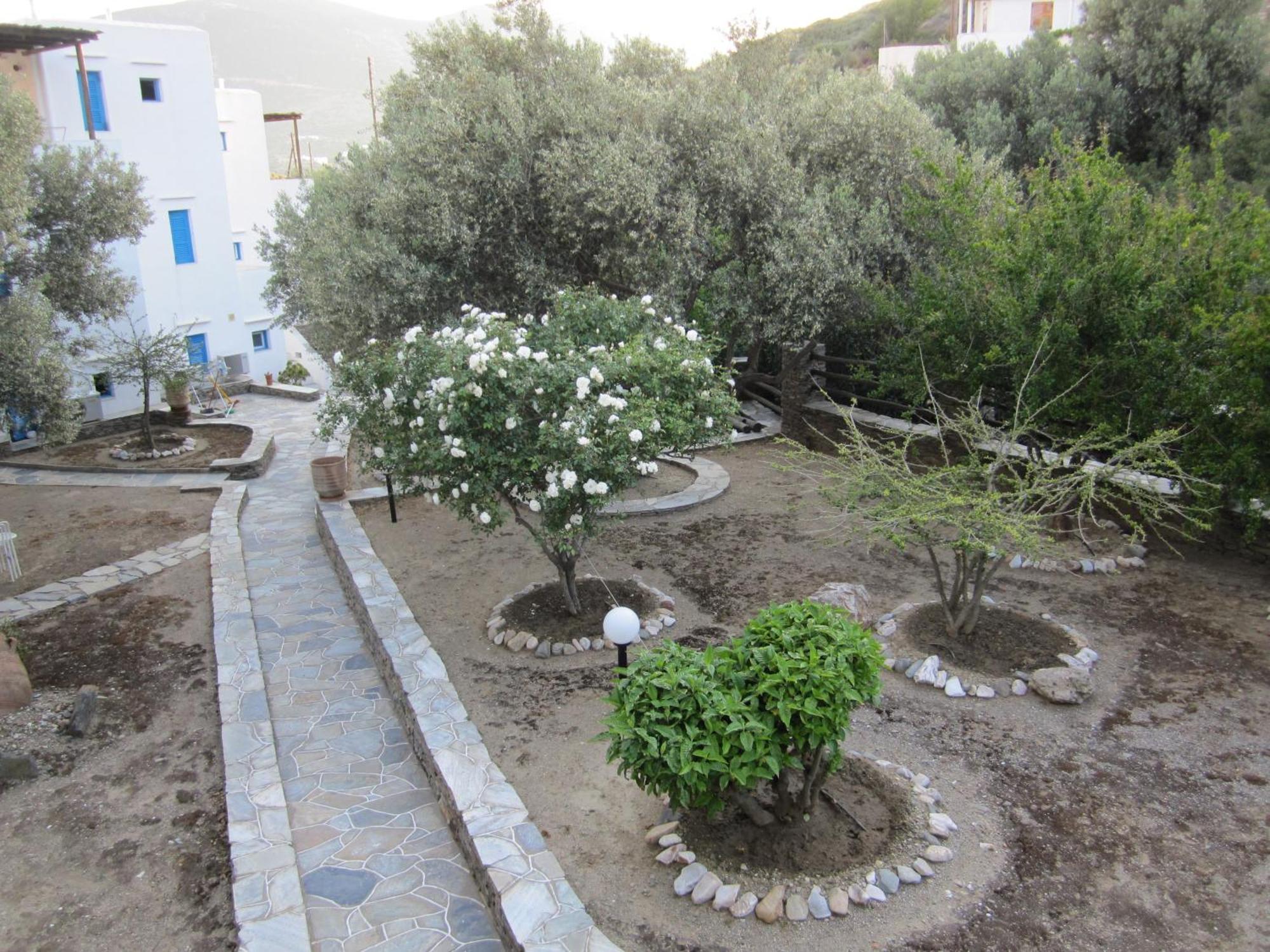 Alexandros Hotel 3*