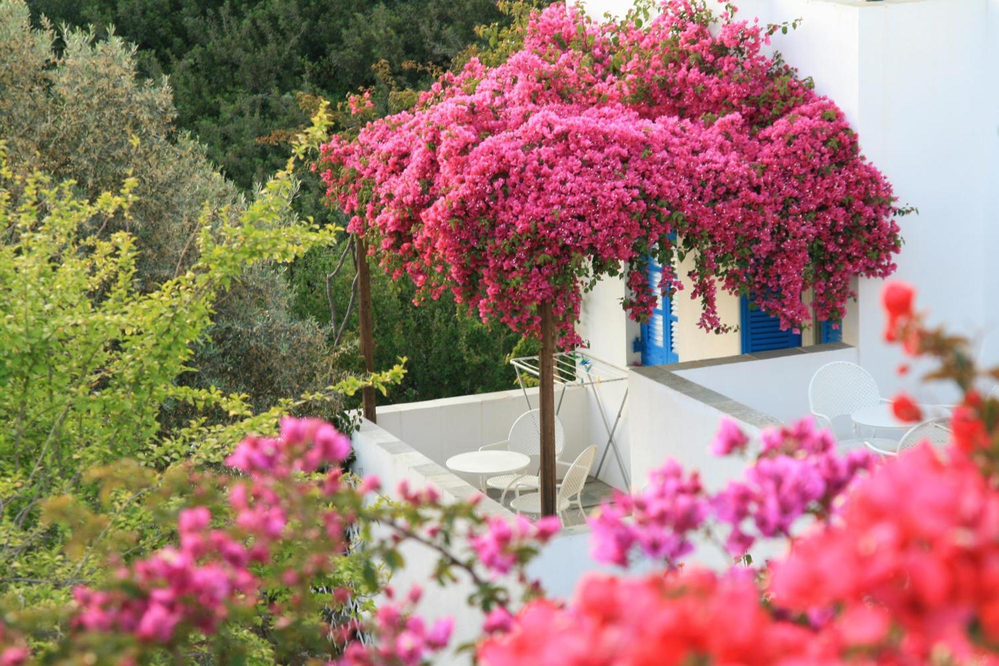 Hotel Alexandros