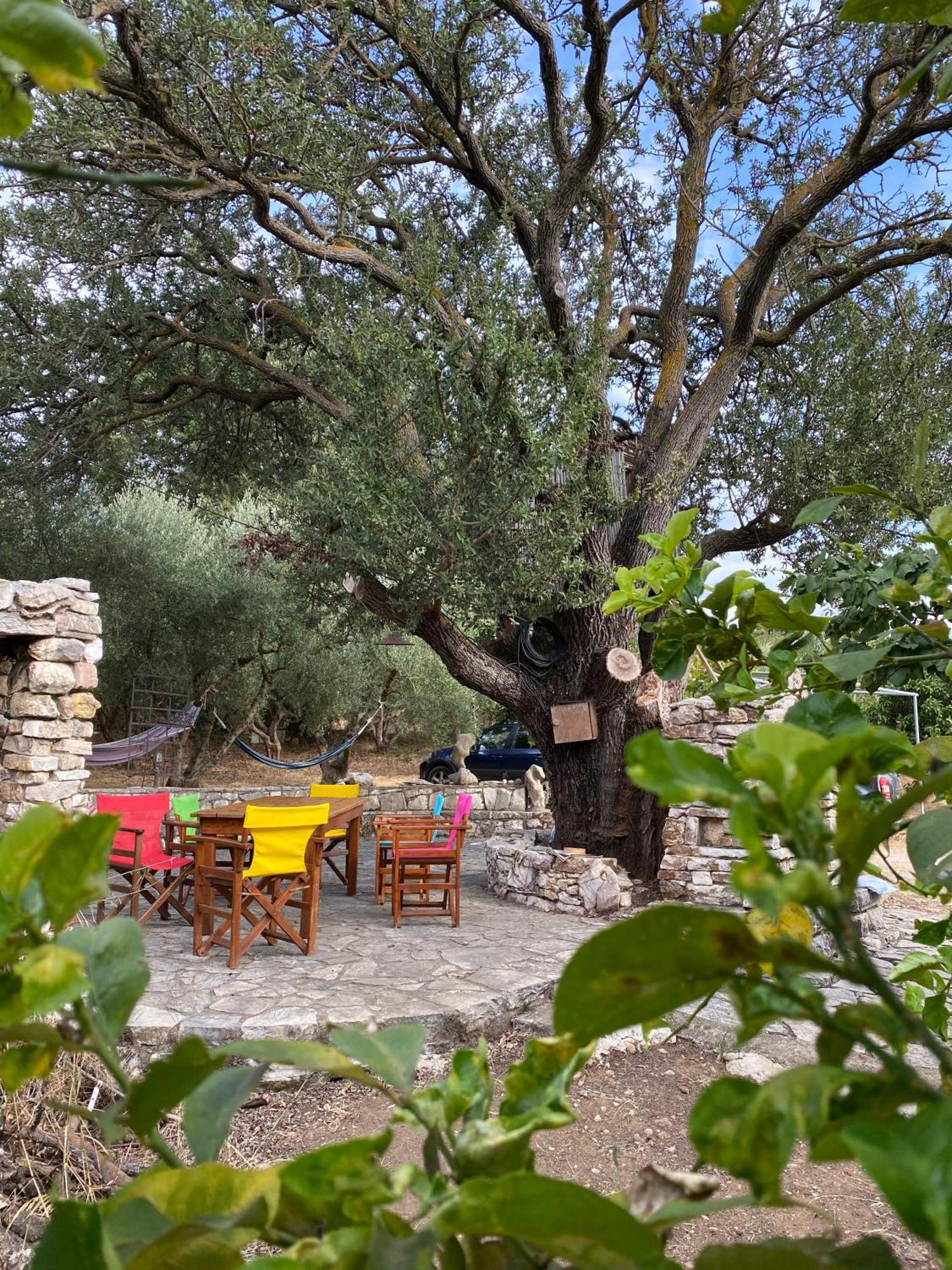 Vounaki Seaside Dreamland! Holiday home