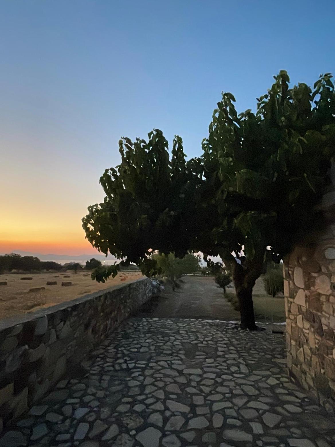 The Stone Holiday home