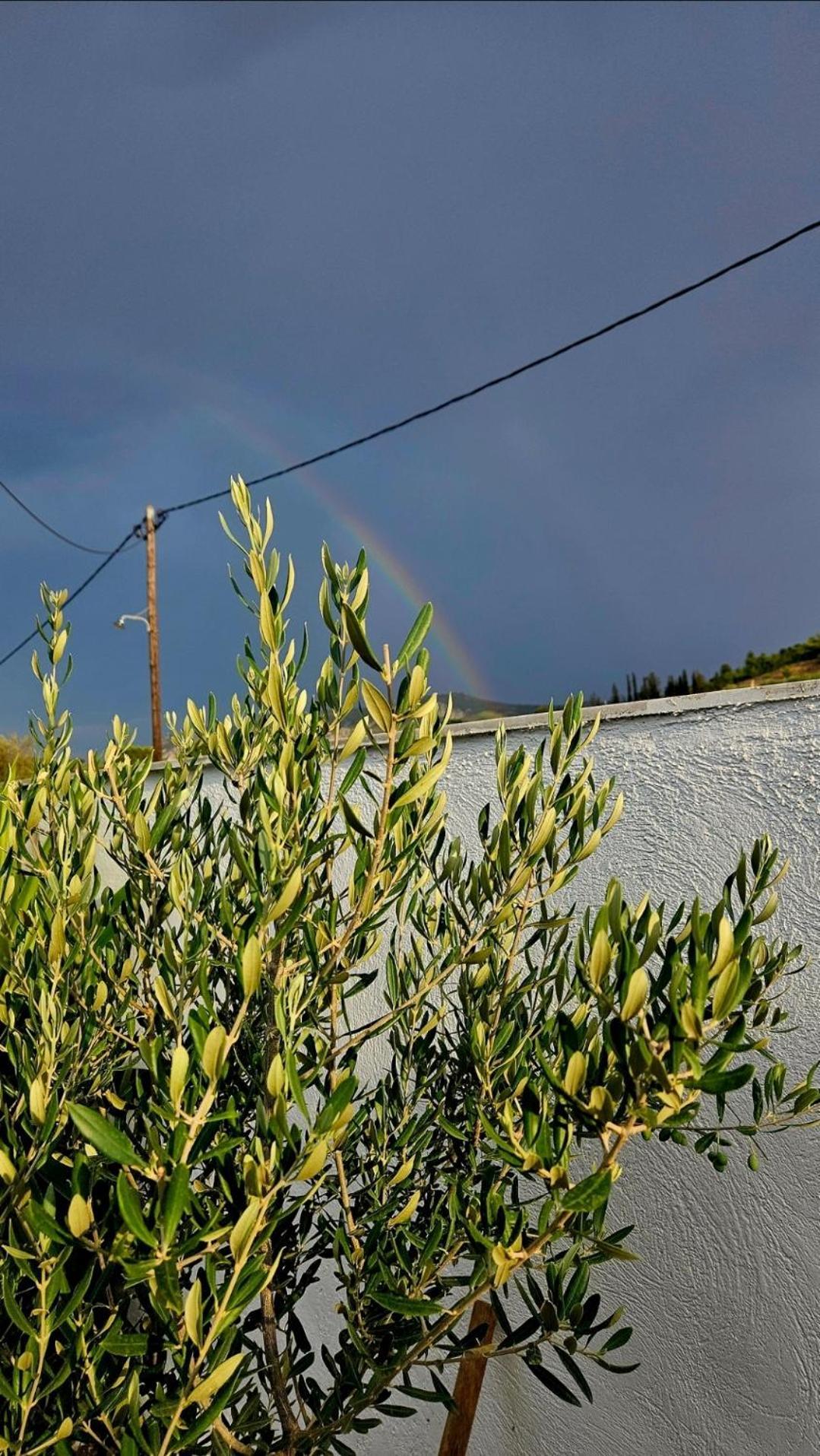 Grace And Harmony Of Ancient Villa Corinth