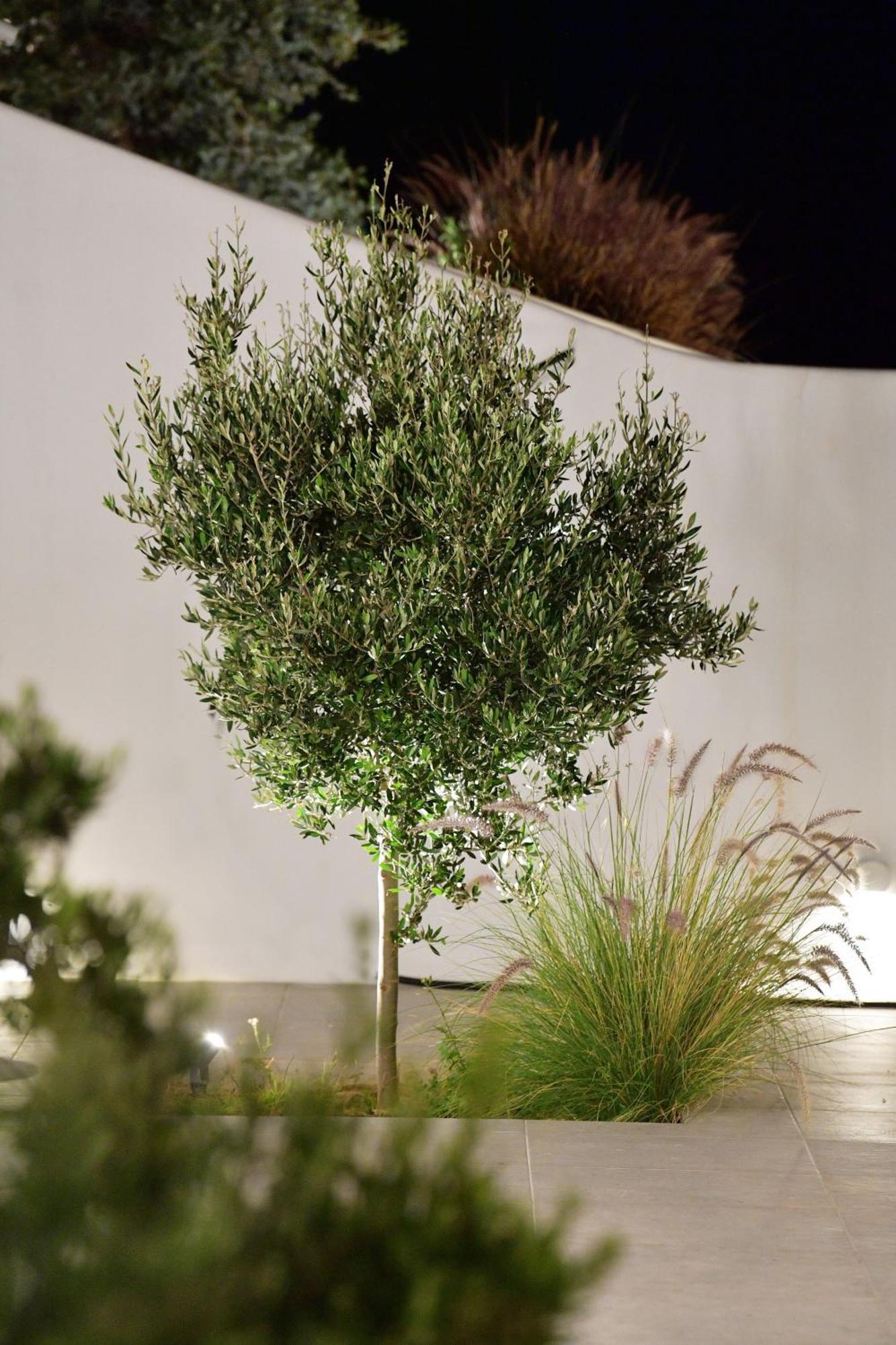Villa Ariti's 1 - Naxos *