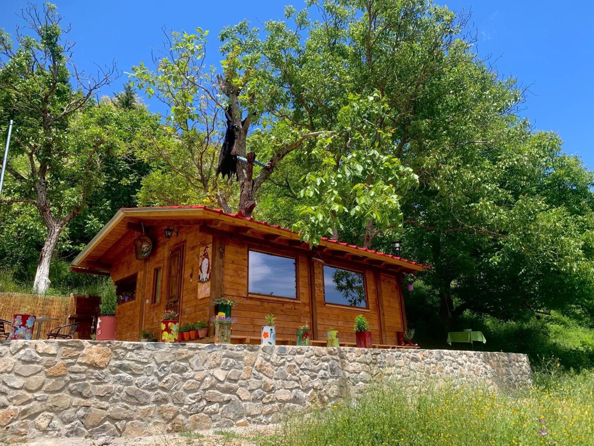 Rvilla Pavliani