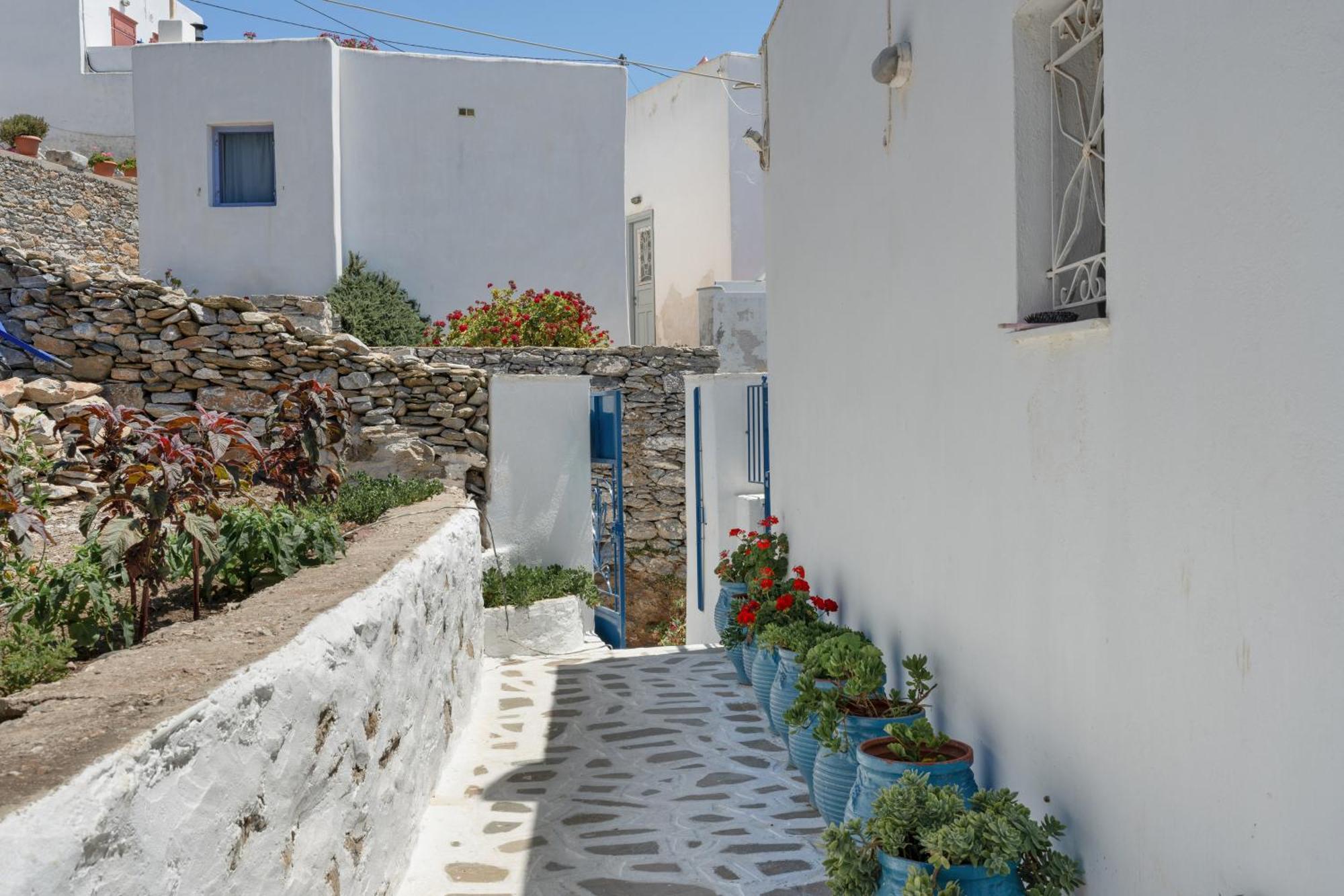 Apartment Politimis N1